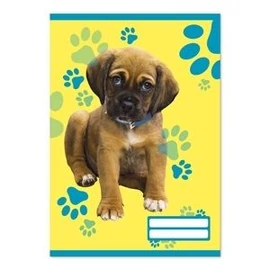 *53913 FÜZET A5 pd  1.oszt. mintás 14-32  