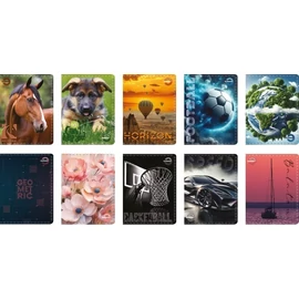 *55491 SZEMÉLYI IGAZOLVÁNY TARTÓ tok álló T-Creatív 16 zsebes