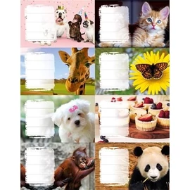 *55553 FÜZETCIMKE PANTA PLAST Girls/Boys  24db/cs