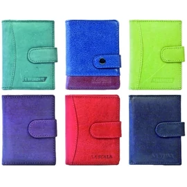 *56111 SZEMÉLYI IRATOK 10 zsebes bőr, álló patentos vegyes szín