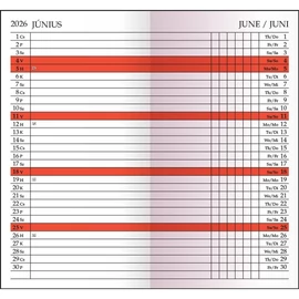 *56530 ZSEBNAPTÁR 2026 leporellós Realsystem 8081