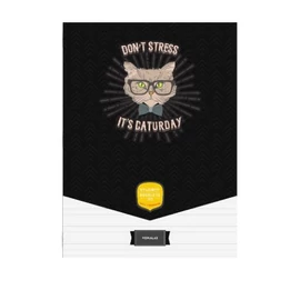 *57066 FÜZET A4 ICO Student Art vonalas 81-32