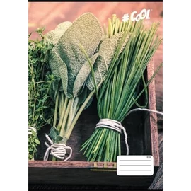 *57442 FÜZET A4  COOL by Victoria 