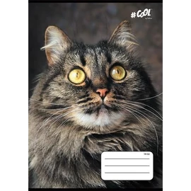 *57555 FÜZET A5  COOL by Victoria 1o.  Animals vonalas 14-32  32lap