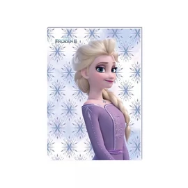 FÜZET A5 KESIN COLOR vonalas  40l  Pókember/Jégvarázs (Jégvarázs, AAA662)