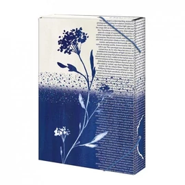 *57834 FÜZETBOX A4 ARGUS vegyes minta  1231-