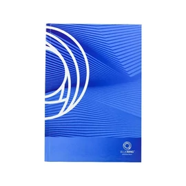 *58106 REGFÜZET A5 vonalas keményfedeles BLUERING 96lap