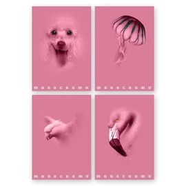 FÜZET A4 PIGNA kockás 38lap Monocromo Pink