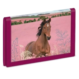 PÉNZTÁRCA ARS UNA vegyes minta (Wild and Free, 52473593)