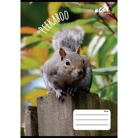 FÜZET A5  COOL by Victoria 2o. 