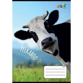 FÜZET A5  COOL by Victoria 2o. 