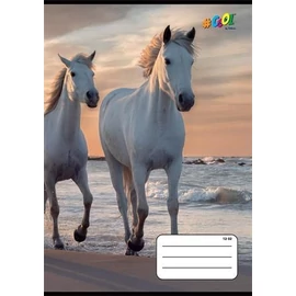 FÜZET A5  COOL by Victoria 3o. 