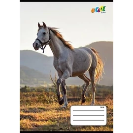 FÜZET A5  COOL by Victoria 3o. 