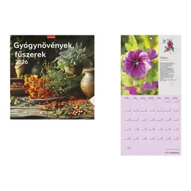 *59930 FALINAPTÁR 2026 Gyógynövények, fűszerek  tűzött T098-16 29*58cm