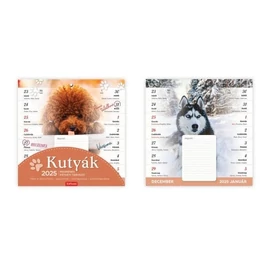 *59941 FALINAPTÁR 2026 családi tervező Kutyák TopTimer kétheti mágneses T090-02