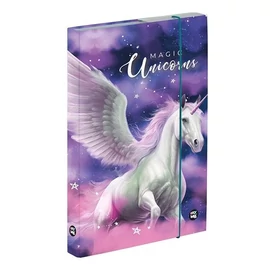 FÜZETBOX A4 OXY BAG PP vegyes minták (Pegasus, 15.18629)
