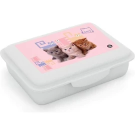 *60760 UZSONNÁS doboz elválasztóval OXY vegyes minták