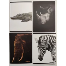 FÜZET A5  STREET 54l kockás Safari 65886