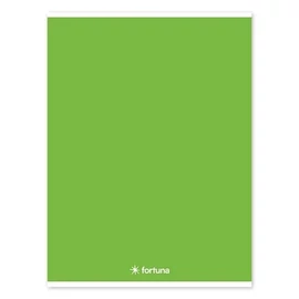*60790 FÜZET A4 FORTUNA Monocolor élénk szín vonalas 32l vegyes szín