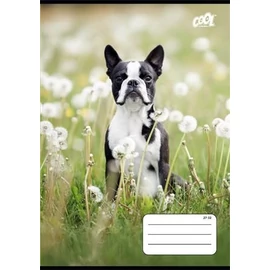 FÜZET A5  COOL by Victoria  