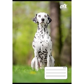 FÜZET A5  COOL by Victoria  