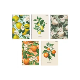 *61073 FÜZET A5 HERLITZ vonalas 60l Summer Harvest Club
