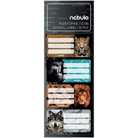 *61087 FÜZETCIMKE NEBULO 12db/cs. vegyes minták