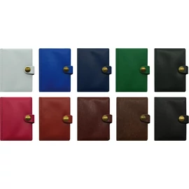 *61293 SZEMÉLYI IRATOK 10 zsebes álló, patentos vegyes szín