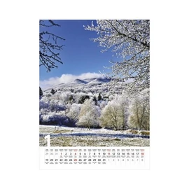 *02986 FALINAPTÁR 2026 Ezerszínű Magyarország T093-07 31*42cm
