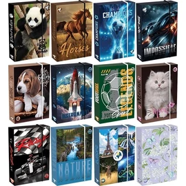 *22482 FÜZETBOX A4 T-Crea vegyes minta