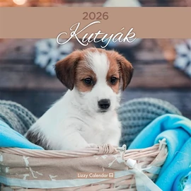 *33289 FALINAPTÁR 2026 Kutyák LIZZY lemez 30*30cm
