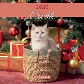 *33390 FALINAPTÁR 2026 Cicák Lizzy lemez 30*30cm