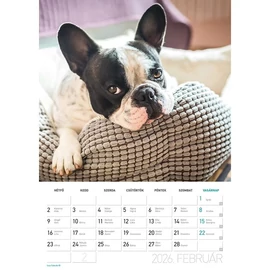 *35968 FALINAPTÁR 2026 Kutyák LIZZY B4 spirálozott 23.5*33cm