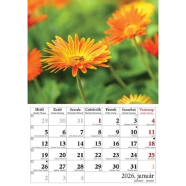*41316 FALINAPTÁR 2026 Virágok T-Calendar A4 tűzött