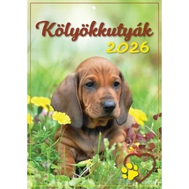 *41317 FALINAPTÁR 2026 Kölyökkutyák T-Calendar A4 tűzött