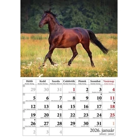 *41318 FALINAPTÁR 2026 Lovak T-Calendar A4 tűzött