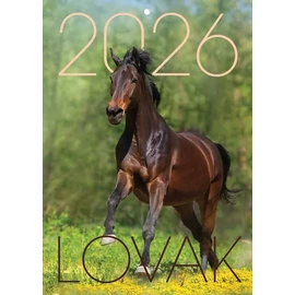 *41318 FALINAPTÁR 2026 Lovak T-Calendar A4 tűzött