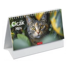 *41521 NAPTÁR asztali KÉPES 2026 midi Cicák T0585P álló 24*12,8