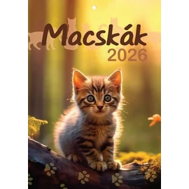 *43798 FALINAPTÁR 2026 Macskák T-Calendar A4 tűzött
