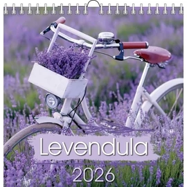 *46073 FALINAPTÁR 2026 Levendula T-Calendar 33*33cm spirálozott