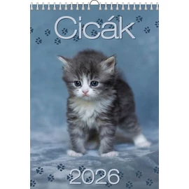 *48148 FALINAPTÁR 2026 Cicák  T-Calendar  23*33cm spirálozott