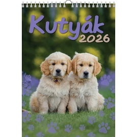 *48149 FALINAPTÁR 2026 Kutyák  T-Calendar  23*33cm spirálozott