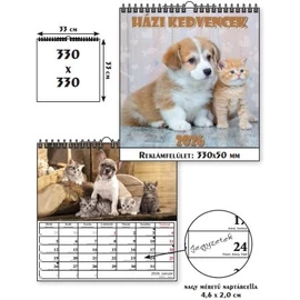*48154 FALINAPTÁR 2026 Házi kedvencek T-Calendar 33*33 spirálozott