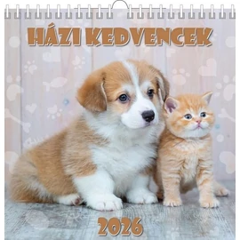 *48154 FALINAPTÁR 2026 Házi kedvencek T-Calendar 33*33 spirálozott