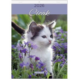 *48283 FALINAPTÁR 2026 Cicák LIZZY A4 tűzött