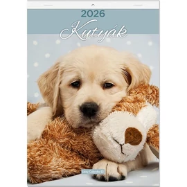 *48285 FALINAPTÁR 2026 Kutyák LIZZY A4 tűzött