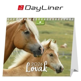*50657 NAPTÁR asztali KÉPES 2026 Lovak álló papírtáblás Dayliner 15*13cm