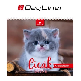 *50659 NAPTÁR asztali KÉPES 2026 Cicák álló papirtáblás DAYLINER 15*13cm