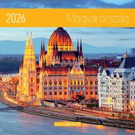 *50774 FALINAPTÁR 2026 Magyarország Lizzy lemez 30*30cm