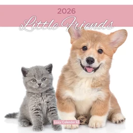 *50777 FALINAPTÁR 2026 Little Friends  LIZZY lemez 30*30cm